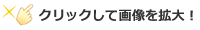 クリックして拡大!