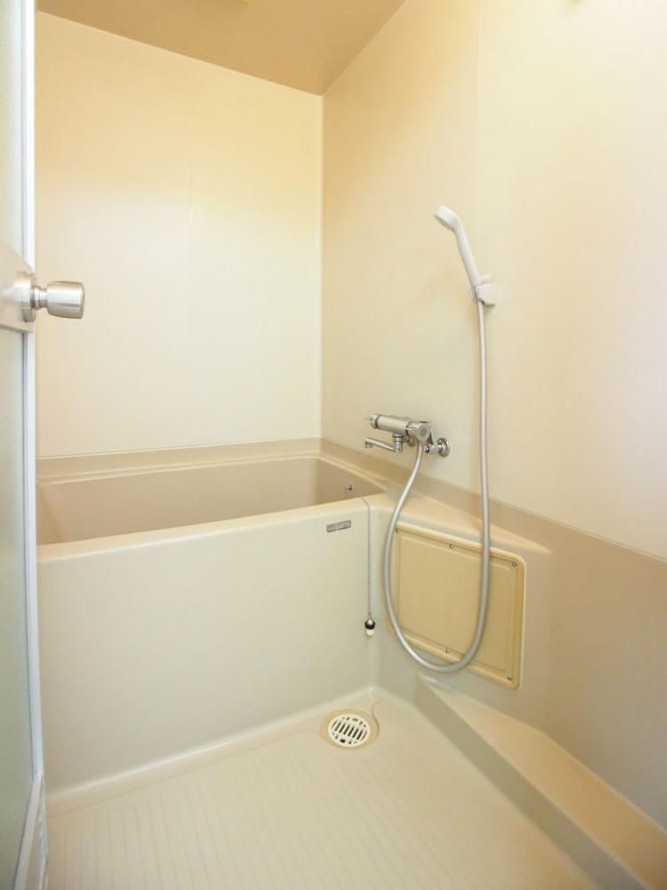 �y�o�X�z�@