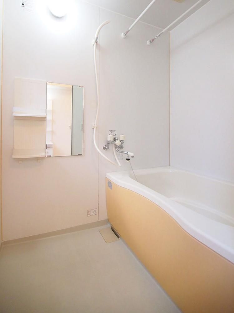 �y�o�X�z�@���C���[�W�ʐ^
�ϓ]�^�C�v�̂������̎ʐ^�ł��B

�ǂ������@�\�����������@�\�t